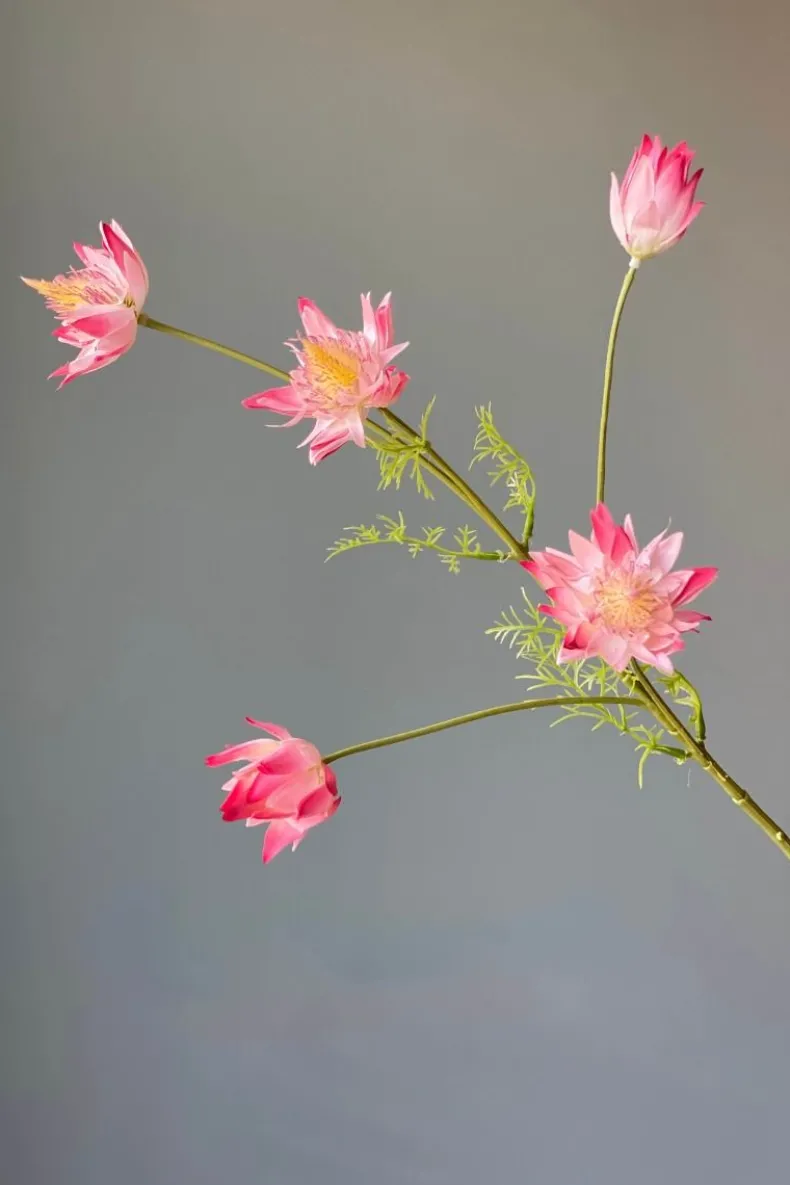 Pip Kunstbloemen Vanilla Bloom