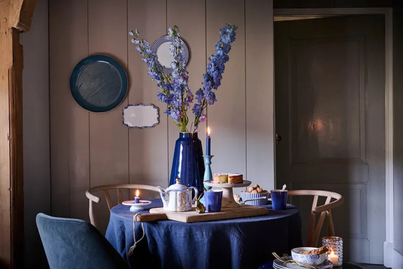 Schaal Geemailleerd Donkerblauw 50 Cm